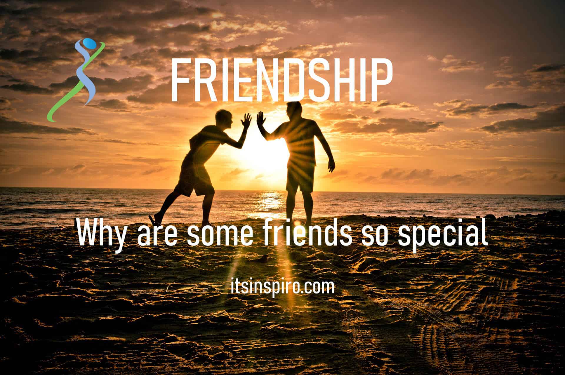 Friendship why are some friends so special? Friendship quotes